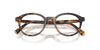 Miu Miu VMU02W Havana Ivy #colour_havana-ivy