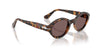 Persol Loris PO3378S Madreterra/Violet #colour_madreterra-violet