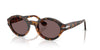 Persol Loris PO3378S Madreterra/Violet #colour_madreterra-violet