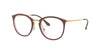 Ray-Ban RB7140 Brown on Transparent Brown #colour_brown-on-transparent-brown