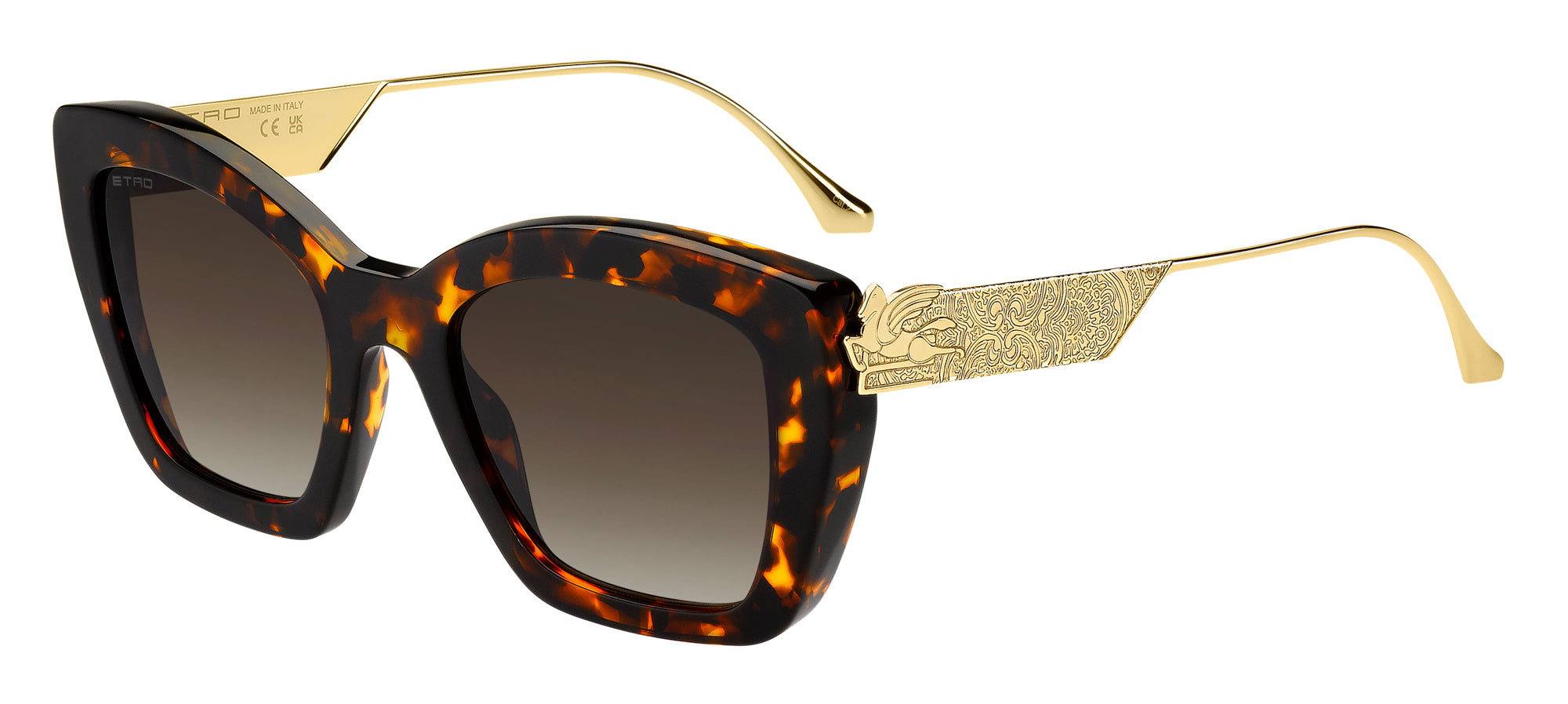 ETRO 0039/G/S Cat Eye Sunglasses | Fashion Eyewear US