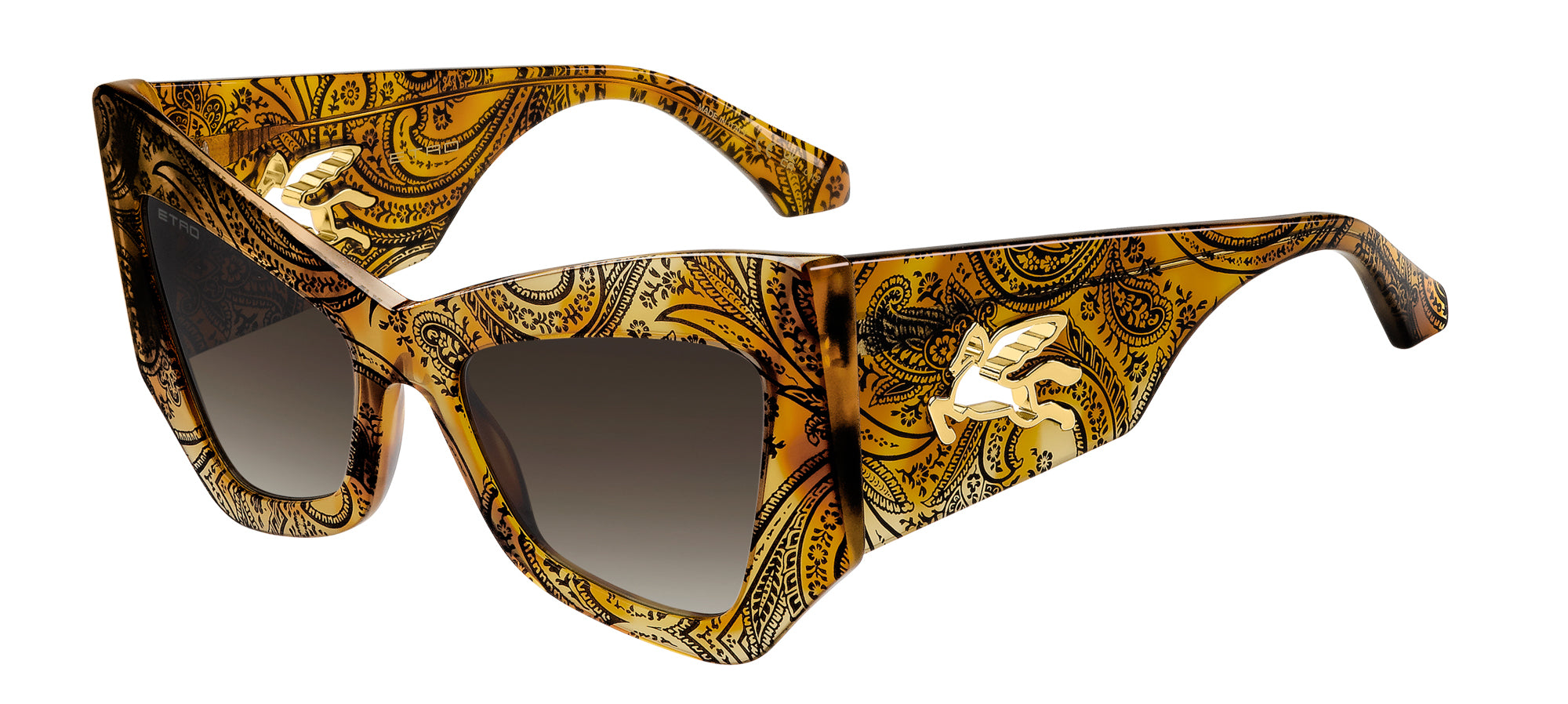 ETRO ETROMANIA Cat Eye Sunglasses | Fashion Eyewear US display picture 1