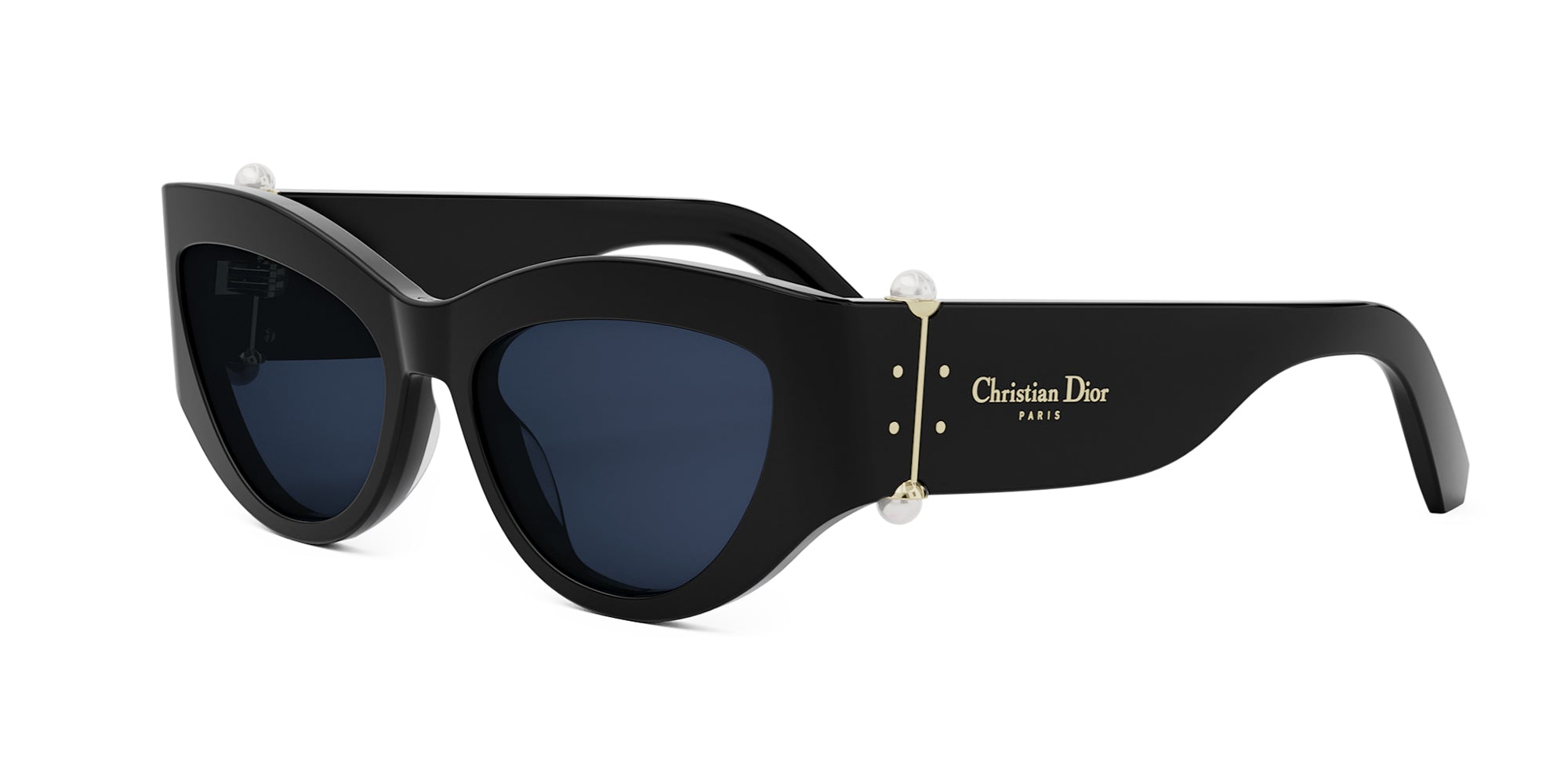 Dior Tribales B1I Cat Eye Sunglasses | Fashion Eyewear