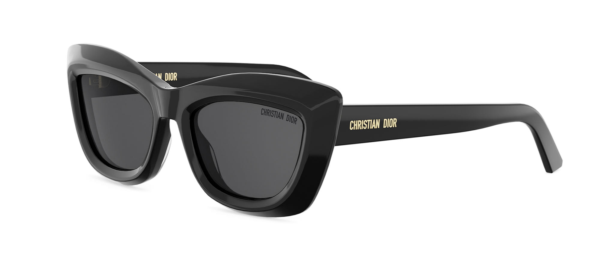 Dior Black Cat-Eye Sunglasses with Gray Lenses Dior Signature S16I Cat Eye Sunglasses | Fashion Eyewear US main image 3