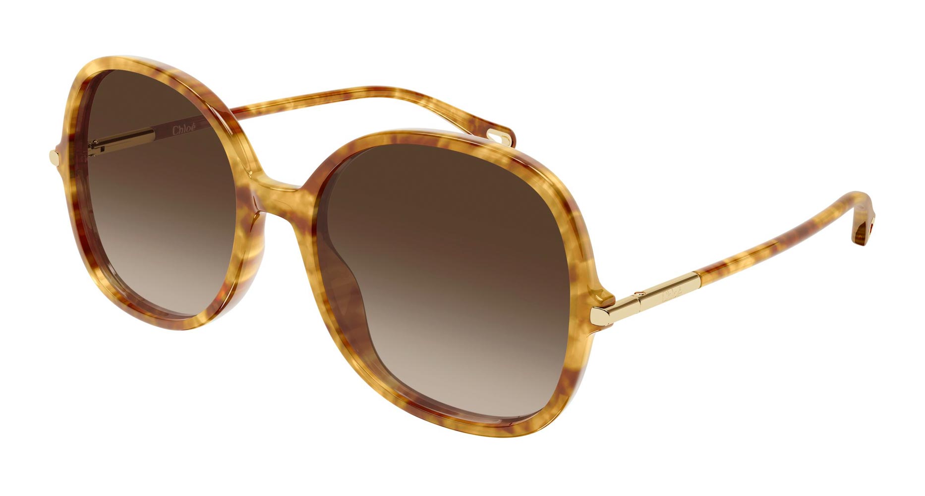 Chloe CH0383S Oval Sunglasses | Fashion Eyewear