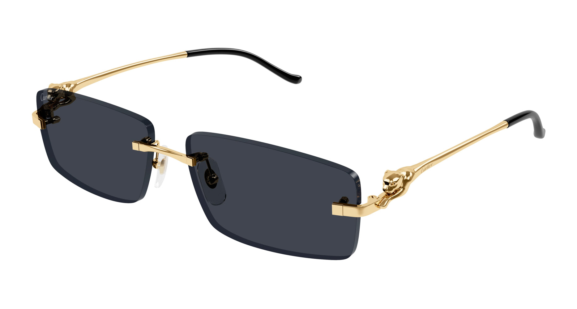 Cartier CT0430S Rectangle Sunglasses | Fashion Eyewear