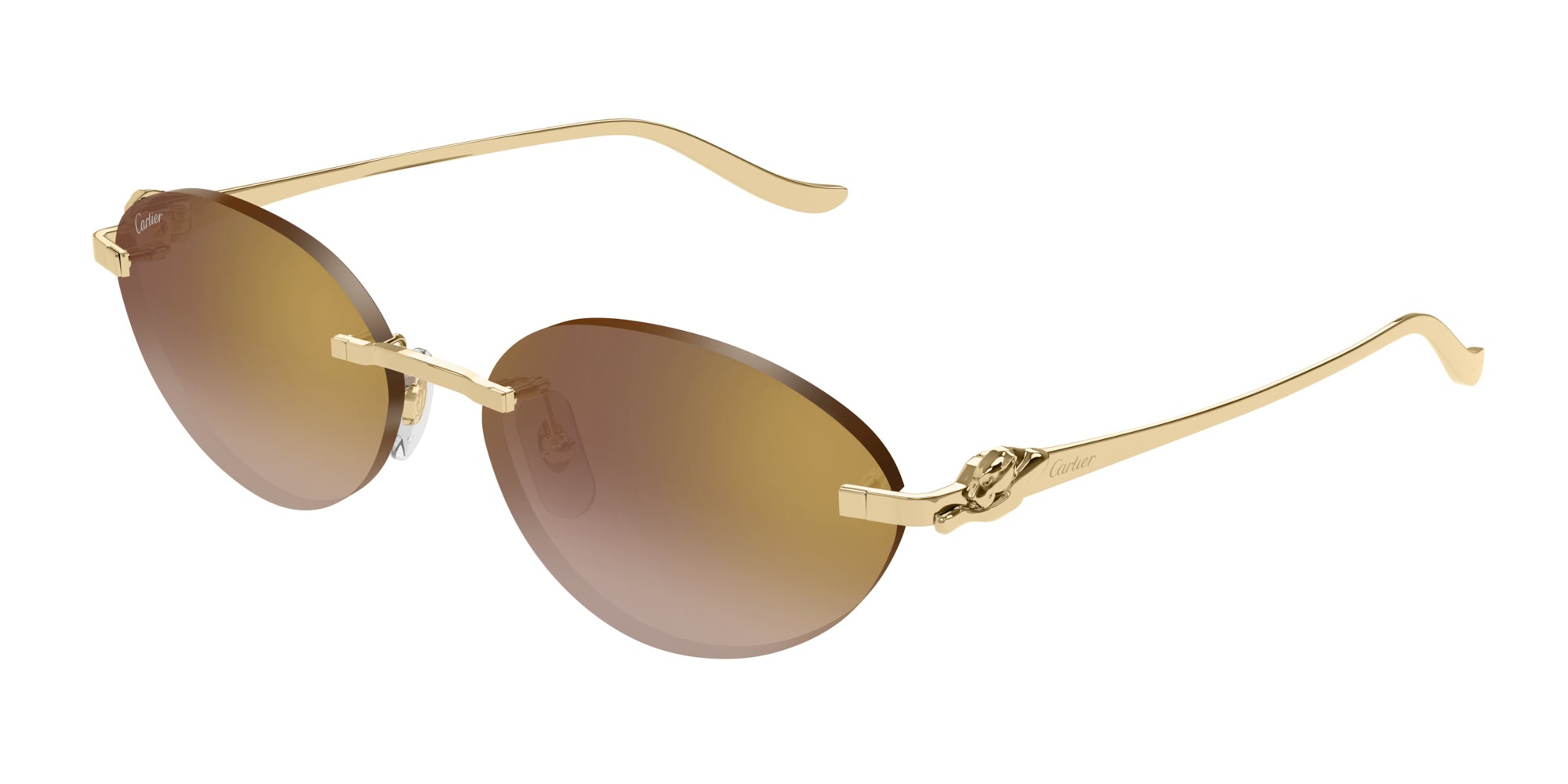 Cartier CT0504S Cat Eye Sunglasses | Fashion Eyewear display picture 2