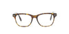 Tom Ford Rectangle Havana Frame