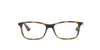 Ray Ban Matte Havana Frame