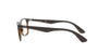 Ray Ban Matte Havana Frame