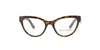 Cat Eye Havana Dolce and Gabbana Frame