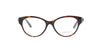 Gloss Havana Brown Versace Frame