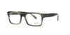 Polished Havana Green Rayban Frame
