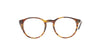 RALPH LAUREN Round Shiny Havana Frame