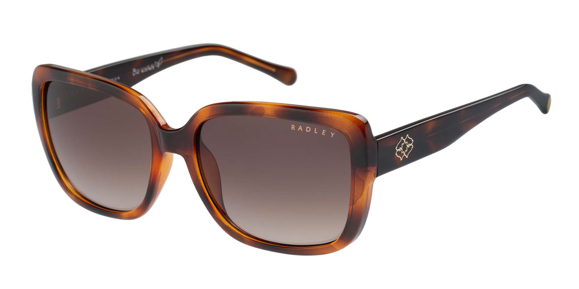 Radley Brown Polycarbonate Women\'s Sunglasses Radley RDS-FIONN Cat Eye Sunglasses | Fashion Eyewear US main image 3