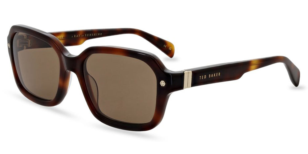Ted Baker Classic Tortoiseshell Aviator Sunglasses - Brown Lenses Ted Baker London Aviator Black Tortoise Shell Color  main image 4