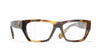 #colour_dark-tortoise