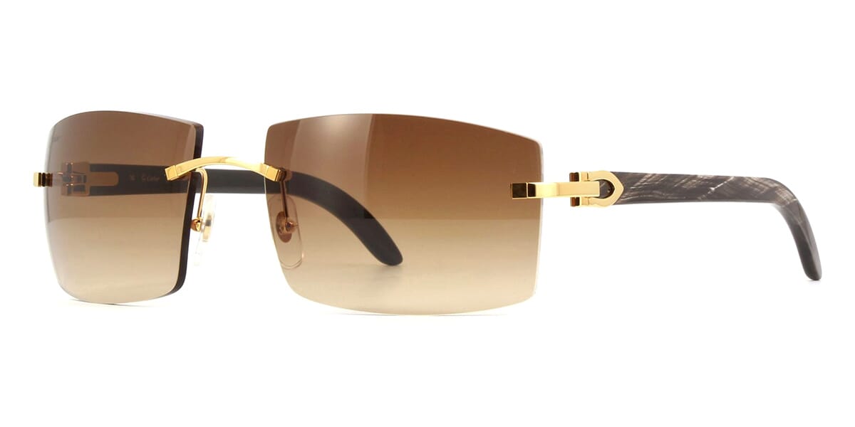 Cartier CT0021RS Wraparound Sunglasses | Fashion Eyewear US