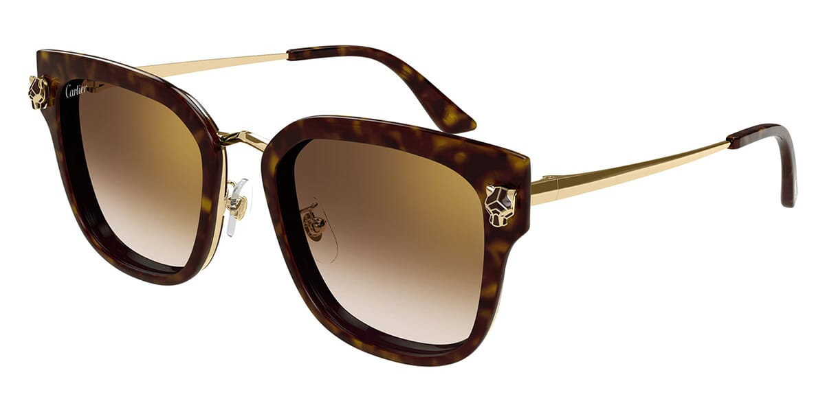 Cartier CT0509SA Square Sunglasses | Fashion Eyewear display picture 3