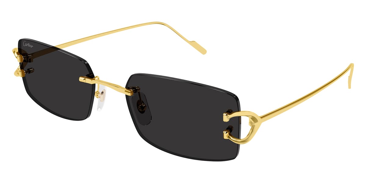 Cartier CT0605S Square Sunglasses | Fashion Eyewear