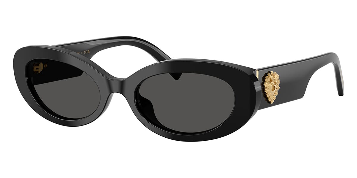 Dolce & Gabbana Black Round Sunglasses with Branded Pouch Dolce & Gabbana DG2234 110687 Matte Black Round Sunglasses  main image 4