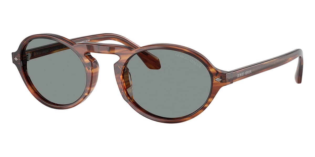 Giorgio Armani Tortoiseshell Brown Round Sunglasses Giorgio Armani AR8205 6062/73 Sunglasses - US main image 4