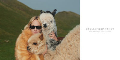 Sustainable Eyewear With Stella McCartney