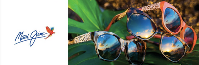 Everything you need to know about Polarised Sunglasses