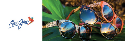 Everything you need to know about Maui Jim.