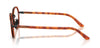Giorgio Armani AR5167#colour_brown-turtle
