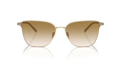 Giorgio Armani AR6155 Pale Gold/Clear Light Brown Gradient #colour_pale-gold-clear-light-brown-gradient