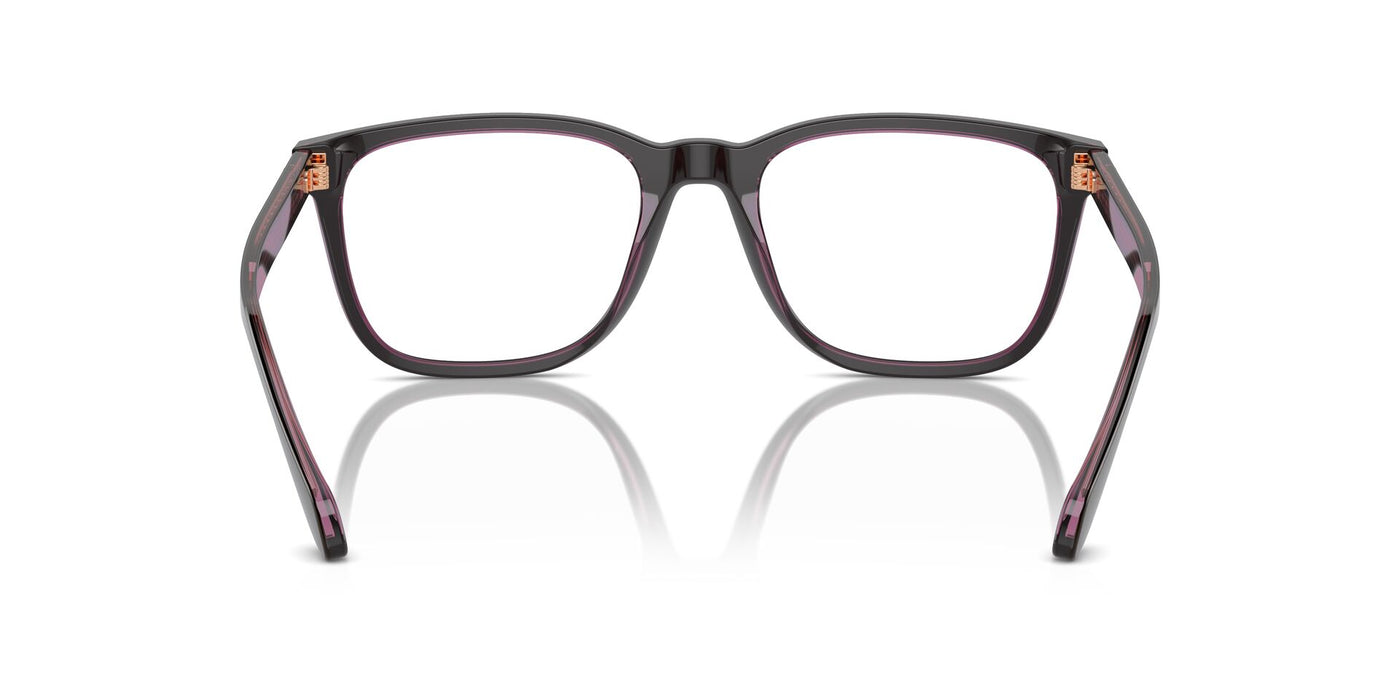 Giorgio Armani AR7255 Top Brown-Transparent Pink #colour_top-brown-transparent-pink