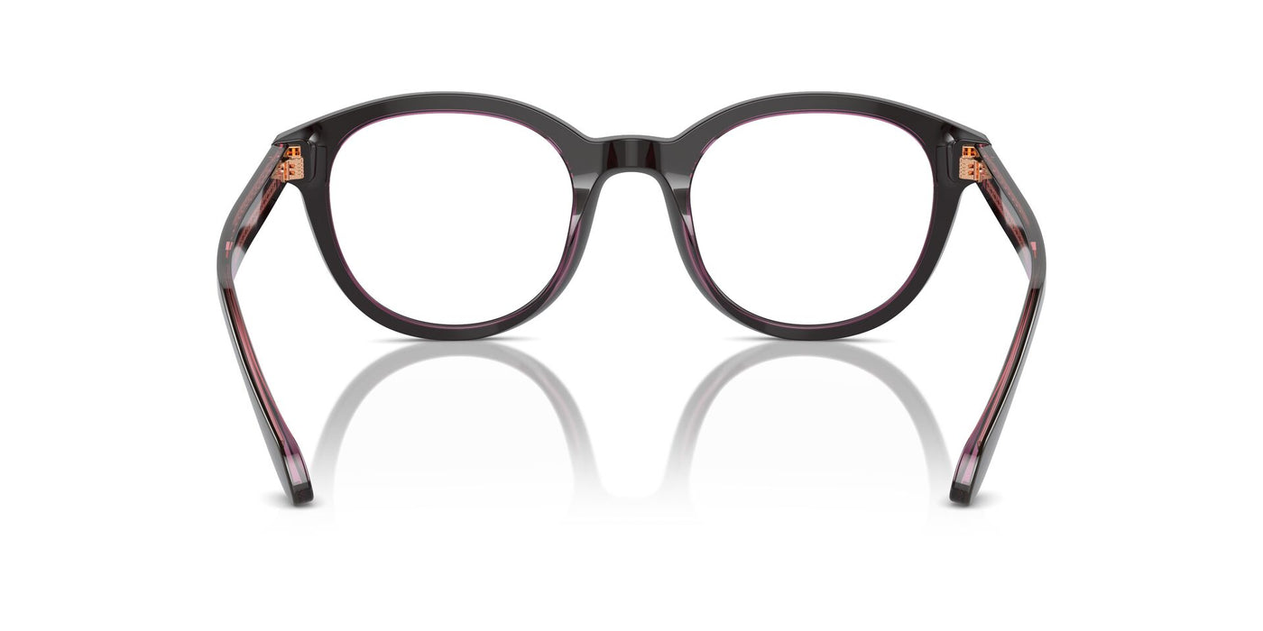 Giorgio Armani AR7256 Top Brown-Transparent Pink #colour_top-brown-transparent-pink