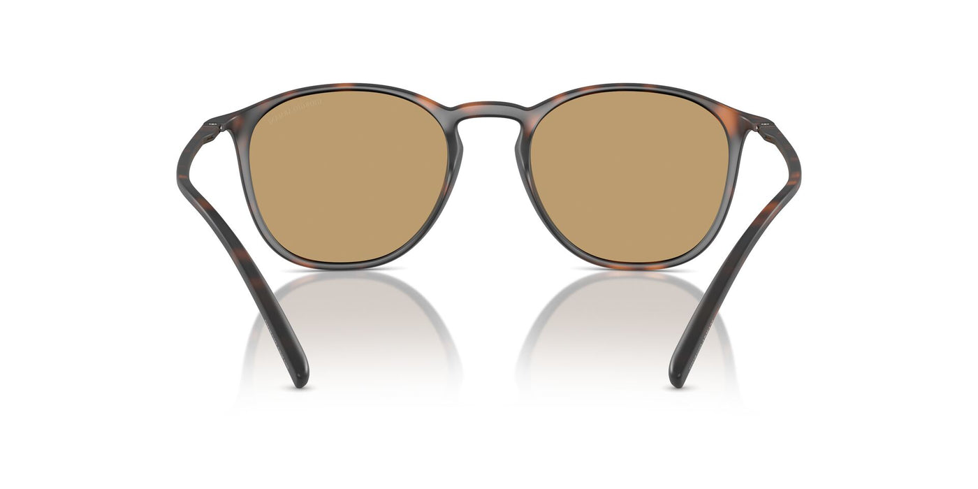 Giorgio Armani AR8186U Havana/Dark Brown #colour_havana-dark-brown