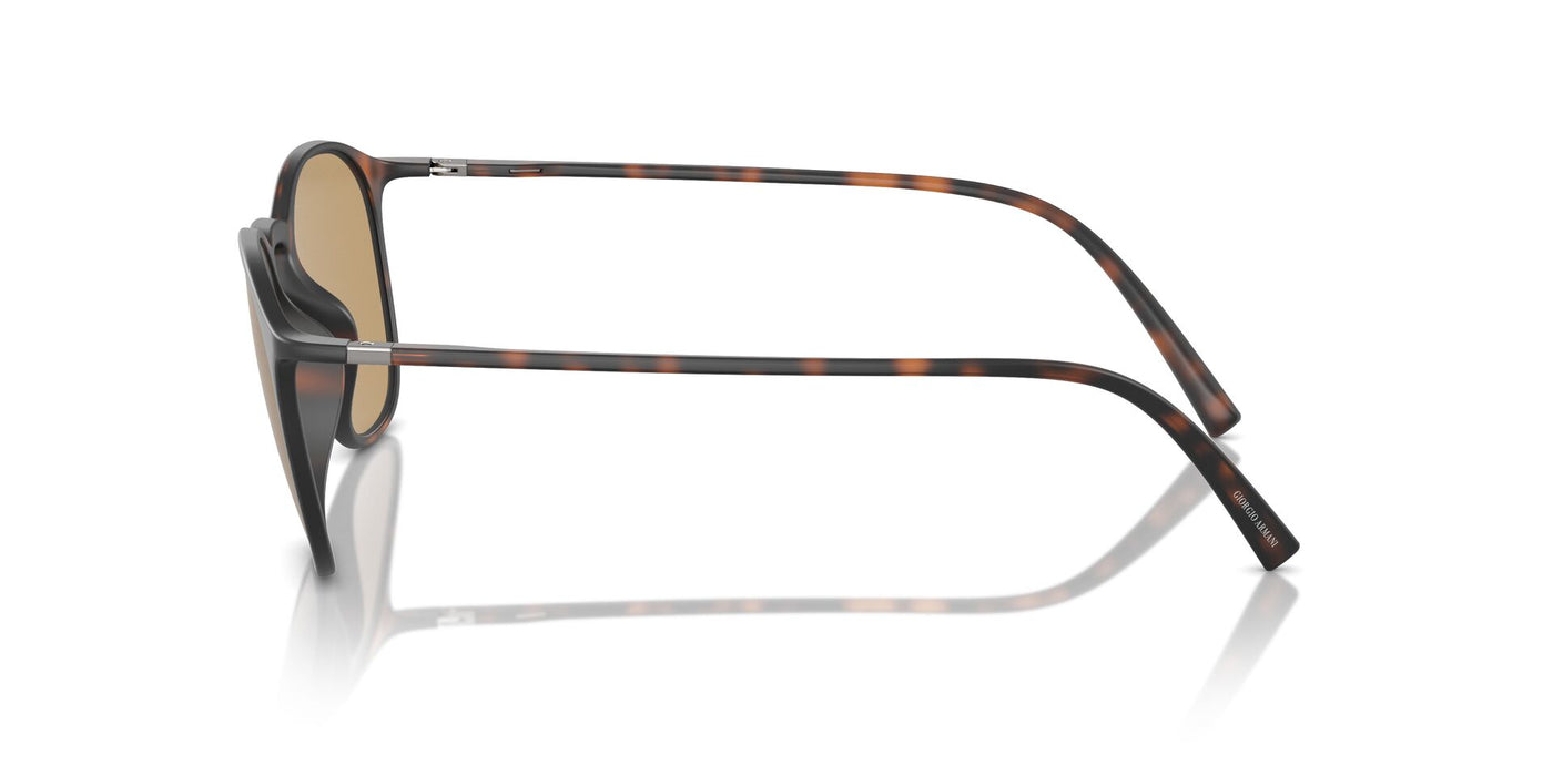 Giorgio Armani AR8186U Havana/Dark Brown #colour_havana-dark-brown