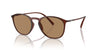 Giorgio Armani AR8186U Transparent Brown/Light To Dark Brown Photochromic #colour_transparent-brown-light-to-dark-brown-photochromic