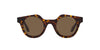 Giorgio Armani AR8191U Havana/Dark Brown #colour_havana-dark-brown