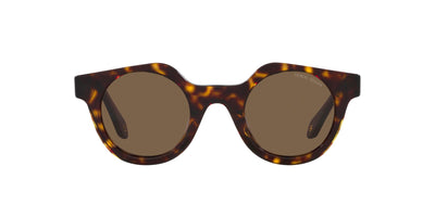 Giorgio Armani AR8191U Havana/Dark Brown #colour_havana-dark-brown