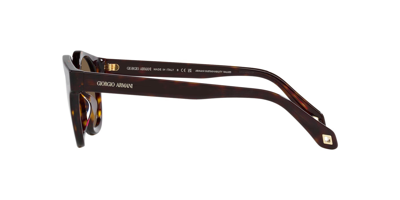 Giorgio Armani AR8191U Havana/Dark Brown #colour_havana-dark-brown