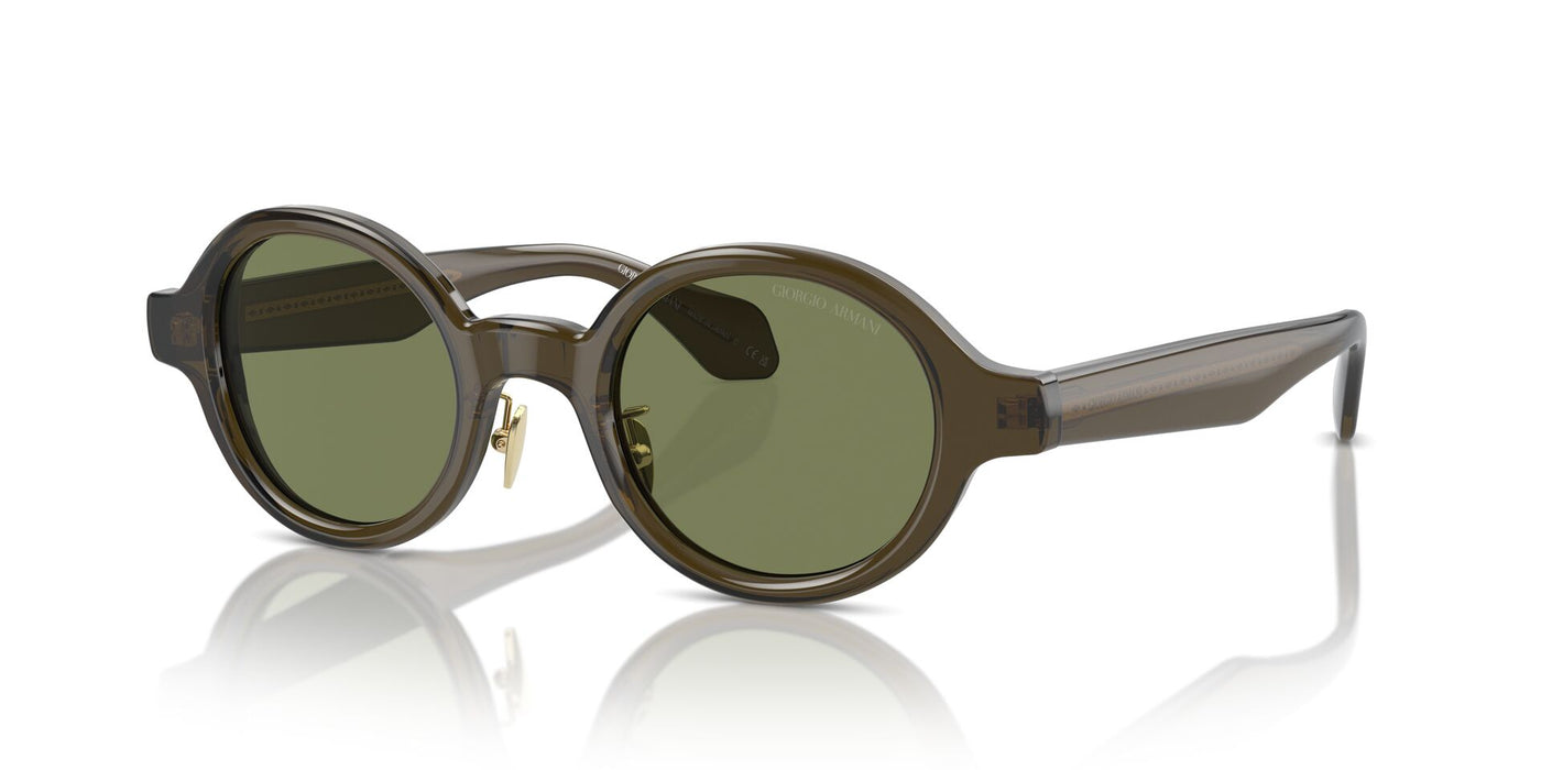 Giorgio Armani AR8205 Transparent Green/Green #colour_transparent-green-green