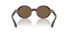 Giorgio Armani AR8205 Transparent Brown/Dark Brown #colour_transparent-brown-dark-brown