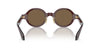 Giorgio Armani AR8205 Transparent Brown/Dark Brown #colour_transparent-brown-dark-brown