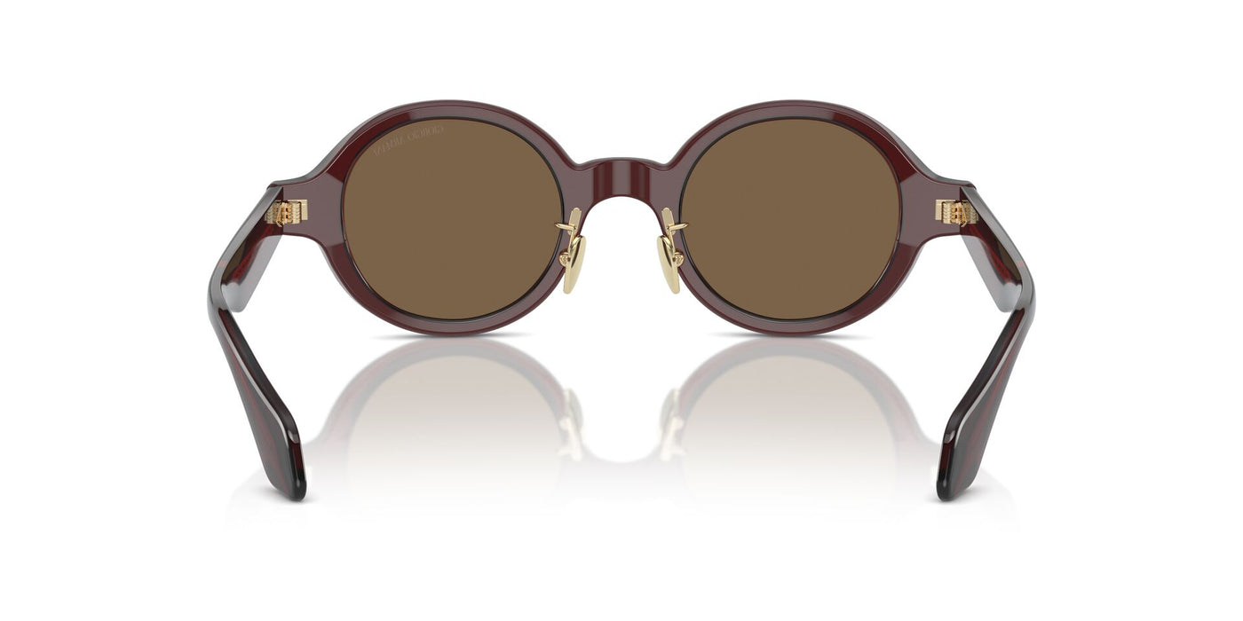 Giorgio Armani AR8205 Transparent Brown/Dark Brown #colour_transparent-brown-dark-brown