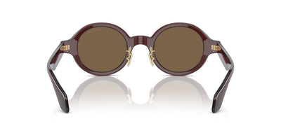 Giorgio Armani AR8205 Transparent Brown/Dark Brown #colour_transparent-brown-dark-brown