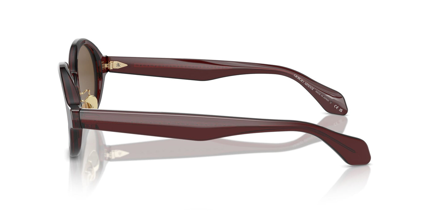 Giorgio Armani AR8205 Transparent Brown/Dark Brown #colour_transparent-brown-dark-brown