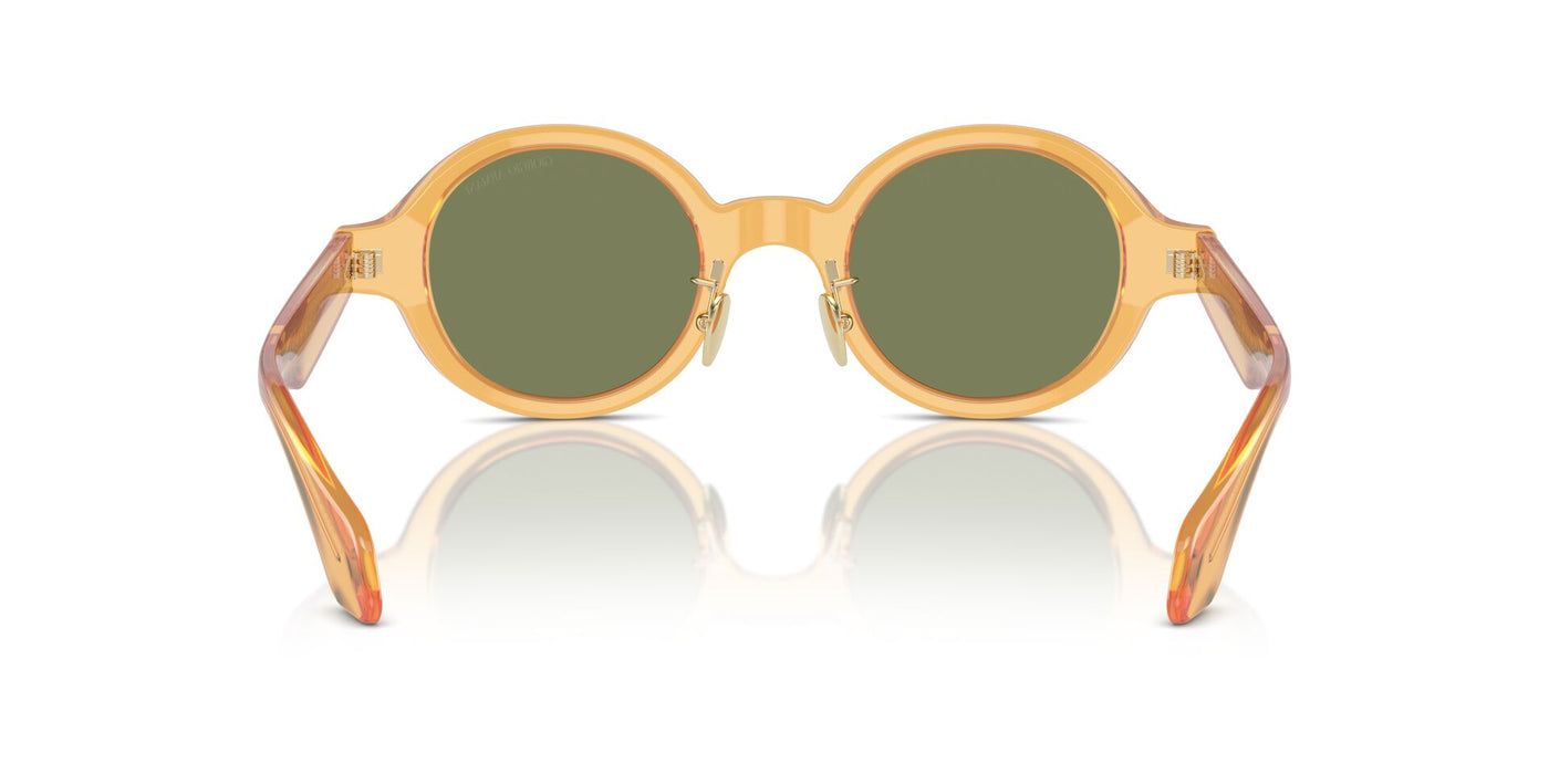 Giorgio Armani AR8205 Transparent Honey/Green #colour_transparent-honey-green