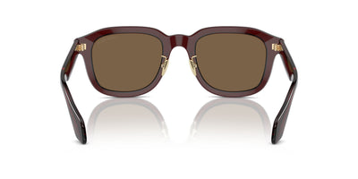 Giorgio Armani AR8206 Transparent Brown/Dark Brown #colour_transparent-brown-dark-brown