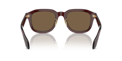 Giorgio Armani AR8206 Transparent Brown/Dark Brown #colour_transparent-brown-dark-brown