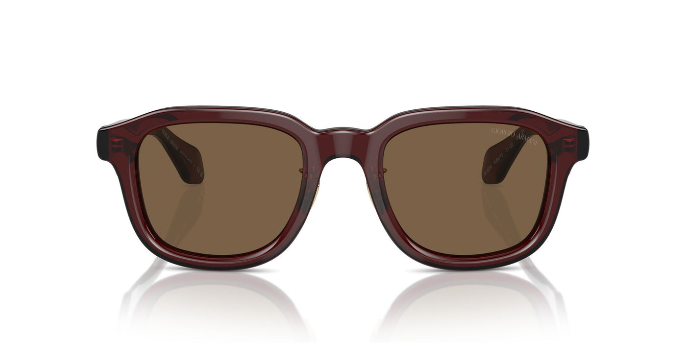 Giorgio Armani AR8206 Transparent Brown/Dark Brown #colour_transparent-brown-dark-brown