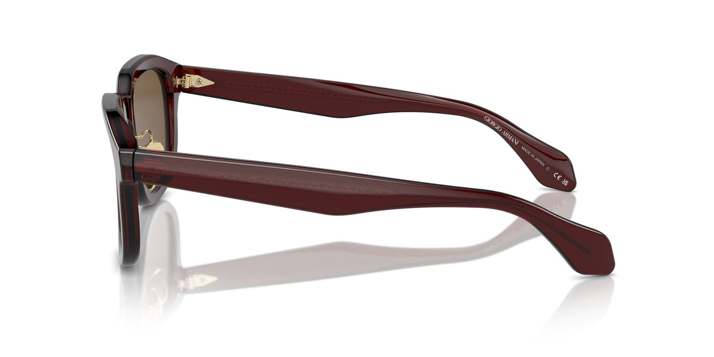 Giorgio Armani AR8206 Transparent Brown/Dark Brown #colour_transparent-brown-dark-brown